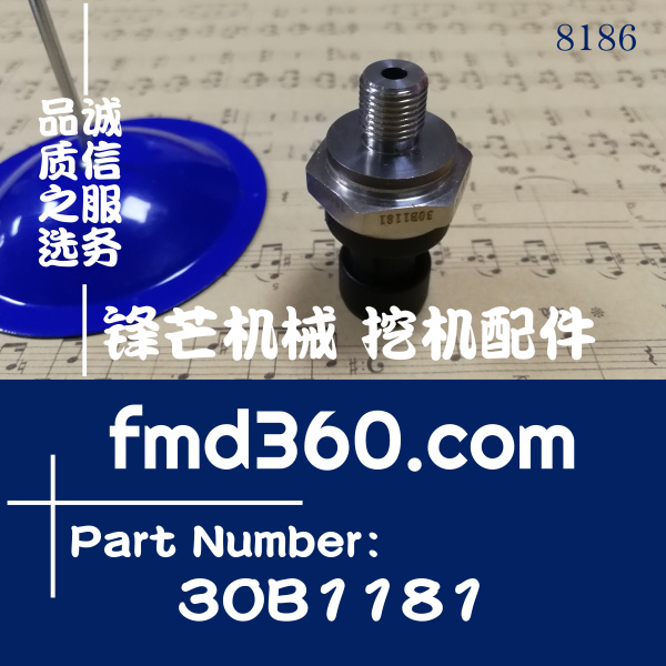 福建省柳工装载机电子式压力30B1181(图1)